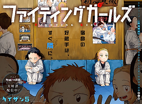 Cover image for Fighting Girls