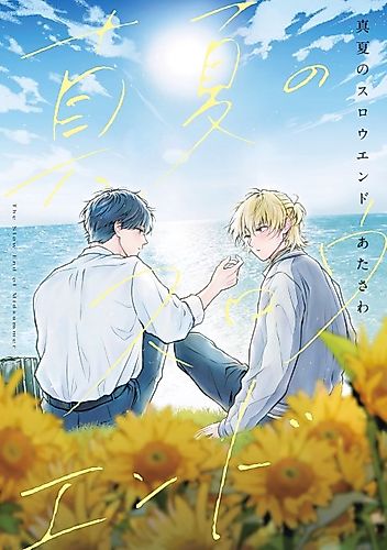 Cover image for The Slow End of Midsummer