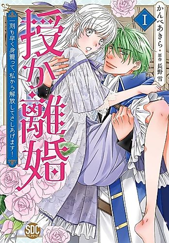 Cover image for Shotgun Divorce: I'll Get Pregnant and Out of Your Life as Soon as Possible!