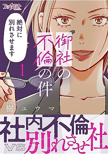 Cover image for Affair Ender REI