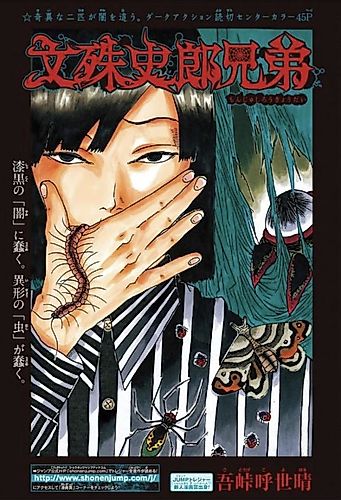Cover image for The Monjushiro Brothers