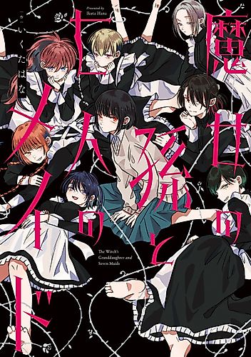 Cover image for The Witch's Granddaughter and Seven Maids