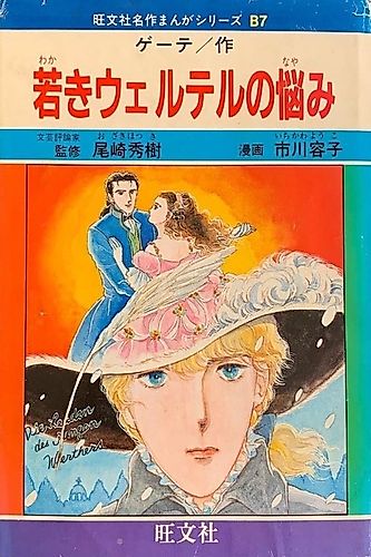 Cover image for The Sorrows Of Young Werther