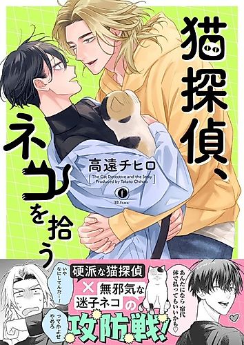 Cover image for The Cat Detective and the Stray