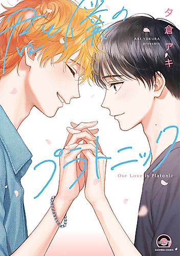 Cover image for Our Love is Platonic