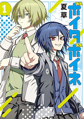 Cover image for Boita Boine