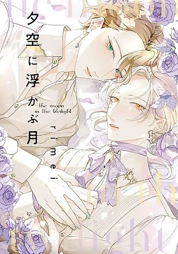 Cover image for the moon in the twilight