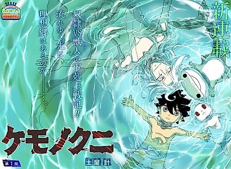 Cover image for Beast Country