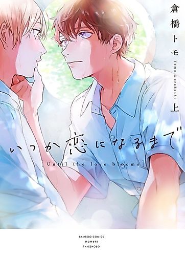 Cover image for Someday I'll Fall for You