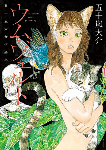 Cover image for Dankon Darasco