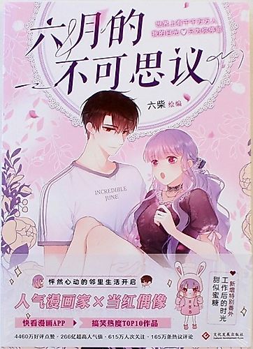 Cover image for Unexpected Encounter in June