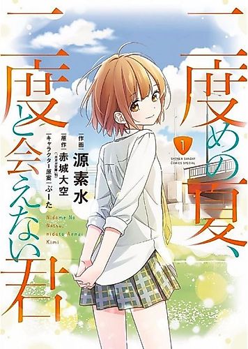 Cover image for Second Summer, Never See You Again