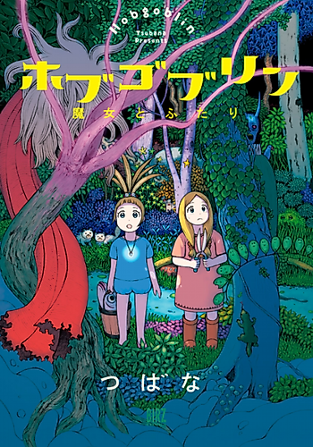 Cover image for The Hobgoblin and the Witch