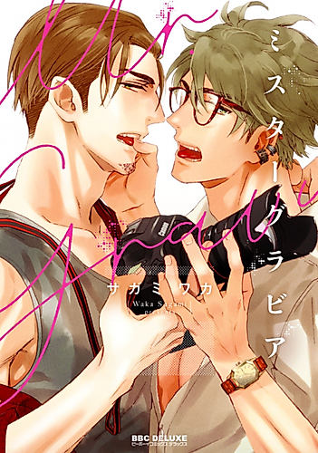 Cover image for Mr. Gravure