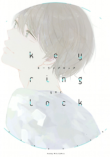 Cover image for Key Ring Lock