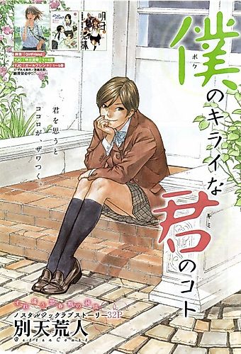 Cover image for The Things I Hate About You