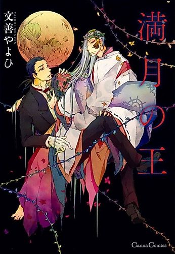 Cover image for Midday Moon