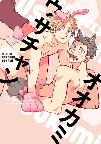 Cover image for Usa-chan Ookami