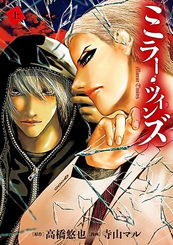 Cover image for Mirror Twins