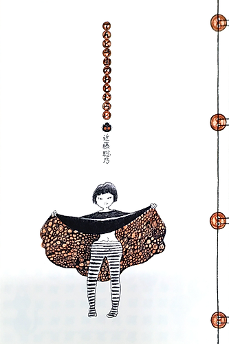 Cover image for Ladybirds' Requiem