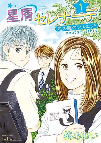Cover image for Stardust Serenade: Silhouette of the Stars' Pupil Another Story