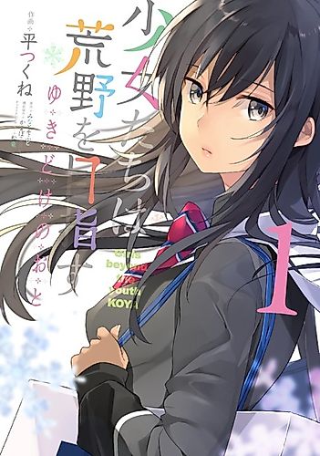 Cover image for Girls beyond the youth KOYA