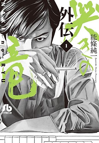 Cover image for Mahjong Hishouden: Ryuu Gaiden