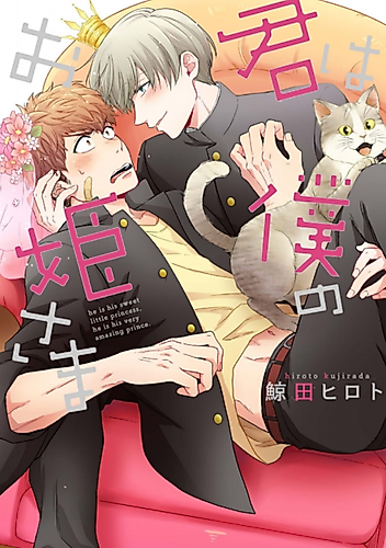 Cover image for You Are My Princess