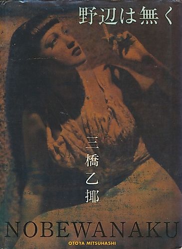 Cover image for Nobewanaku
