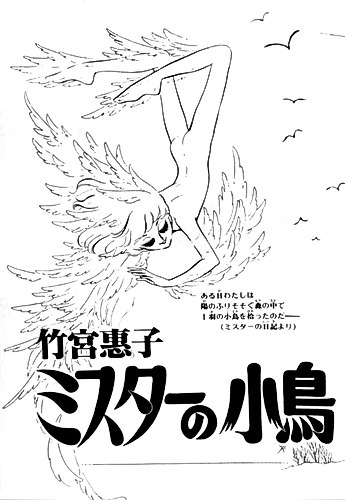 Cover image for The Mr.'s Baby Bird