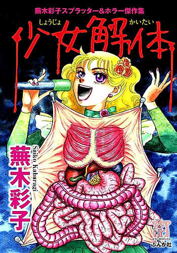 Cover image for Shoujo Kaitai