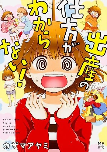 Cover image for I Don't Know How to Give Birth!