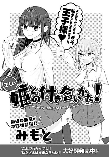 Cover image for Tadashii Hime to no Tsukiai Kata!