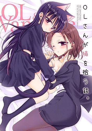 Cover image for Story about OL-san Picking up a Cat