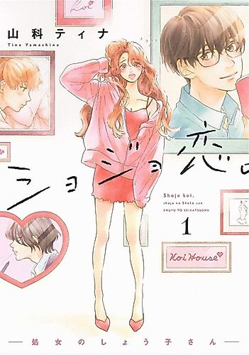 Cover image for Virgin Love