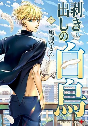Cover image for The Naked Swan