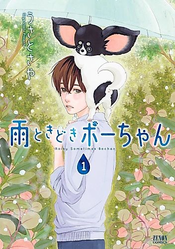 Cover image for Rainy Sometimes Bochan