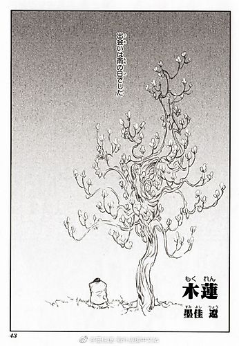 Cover image for Mokuren