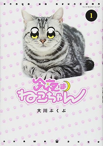 Cover image for Kitty Tonight
