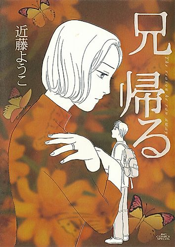 Cover image for Brother Returns