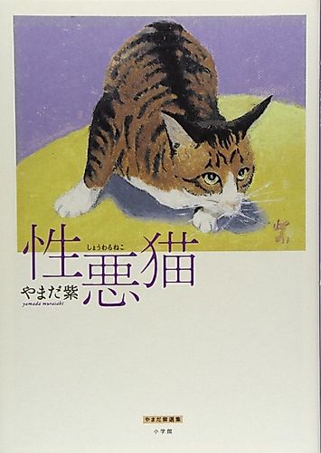 Cover image for Sassy Cats