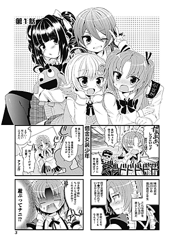 Cover image for Himegoto