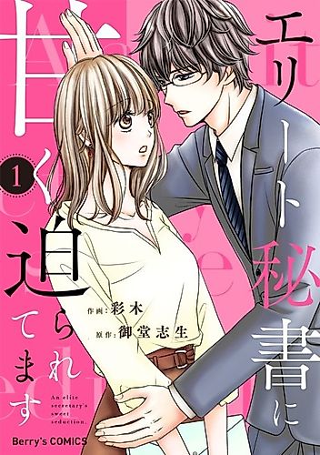 Cover image for An elite secretary's sweet seduction.