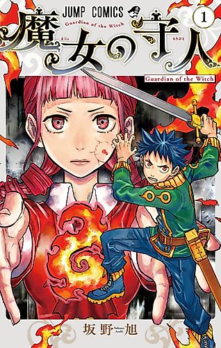 Cover image for Guardian of the Witch