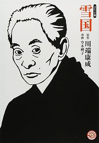 Cover image for Snow Country