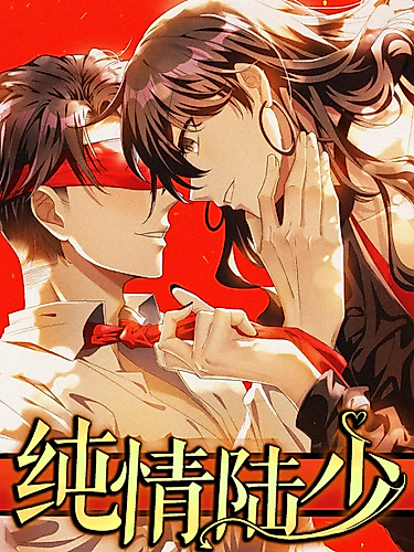 Cover image for The Naive Mr. Lu