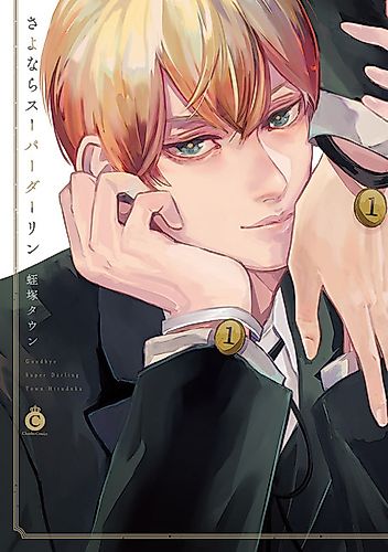 Cover image for Goodbye Super Darling