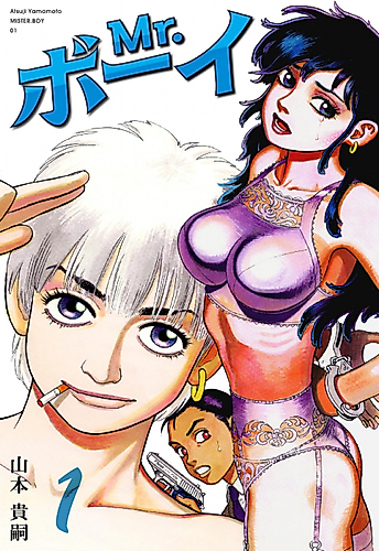 Cover image for Mister Boy