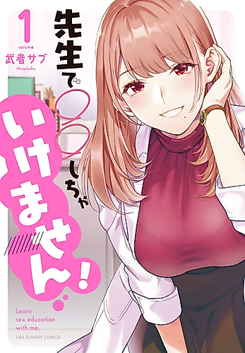 Cover image for Don't XXX With Teachers!