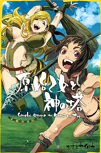 Cover image for Primeval Maidens and the Tower of Gods